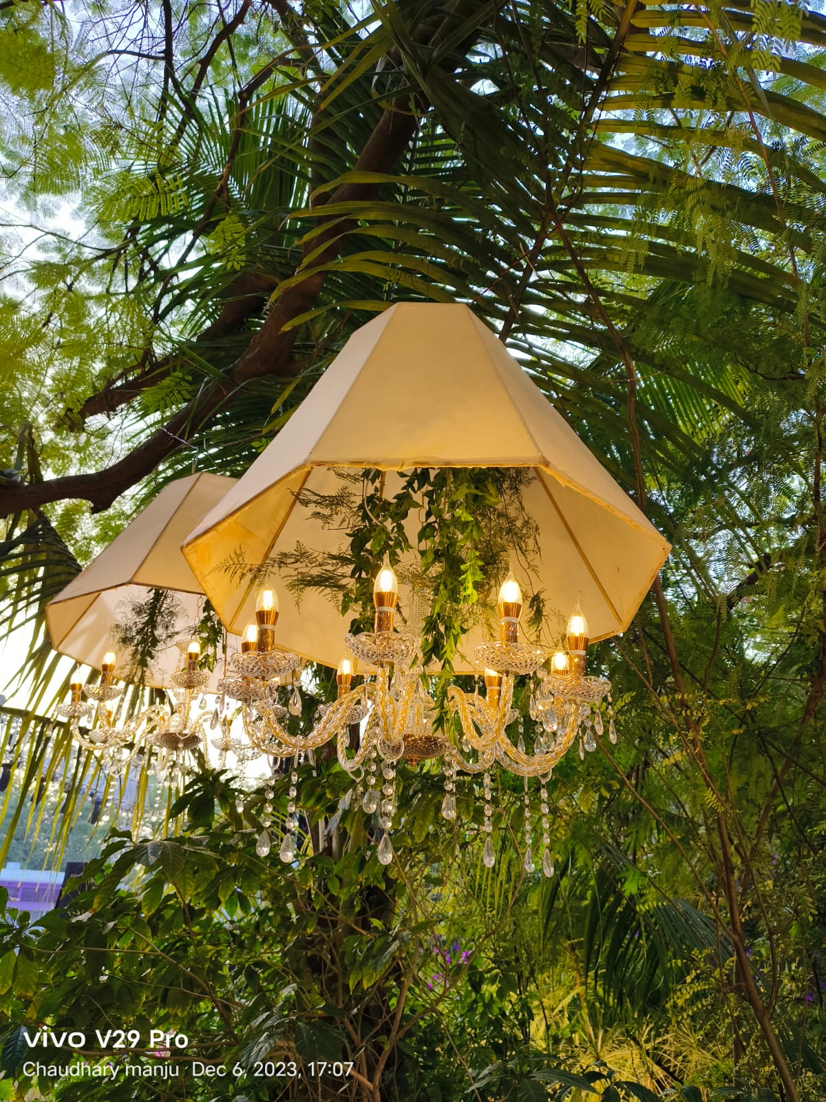 Chandelier Rental 17