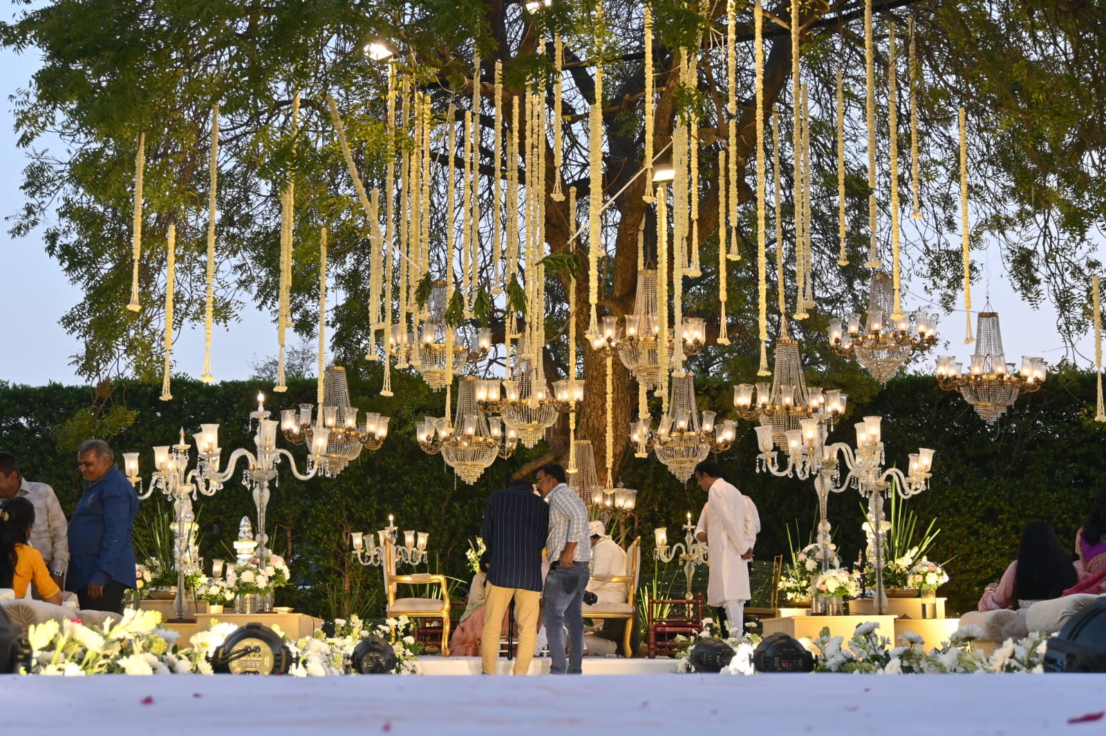 Chandelier Rental 18