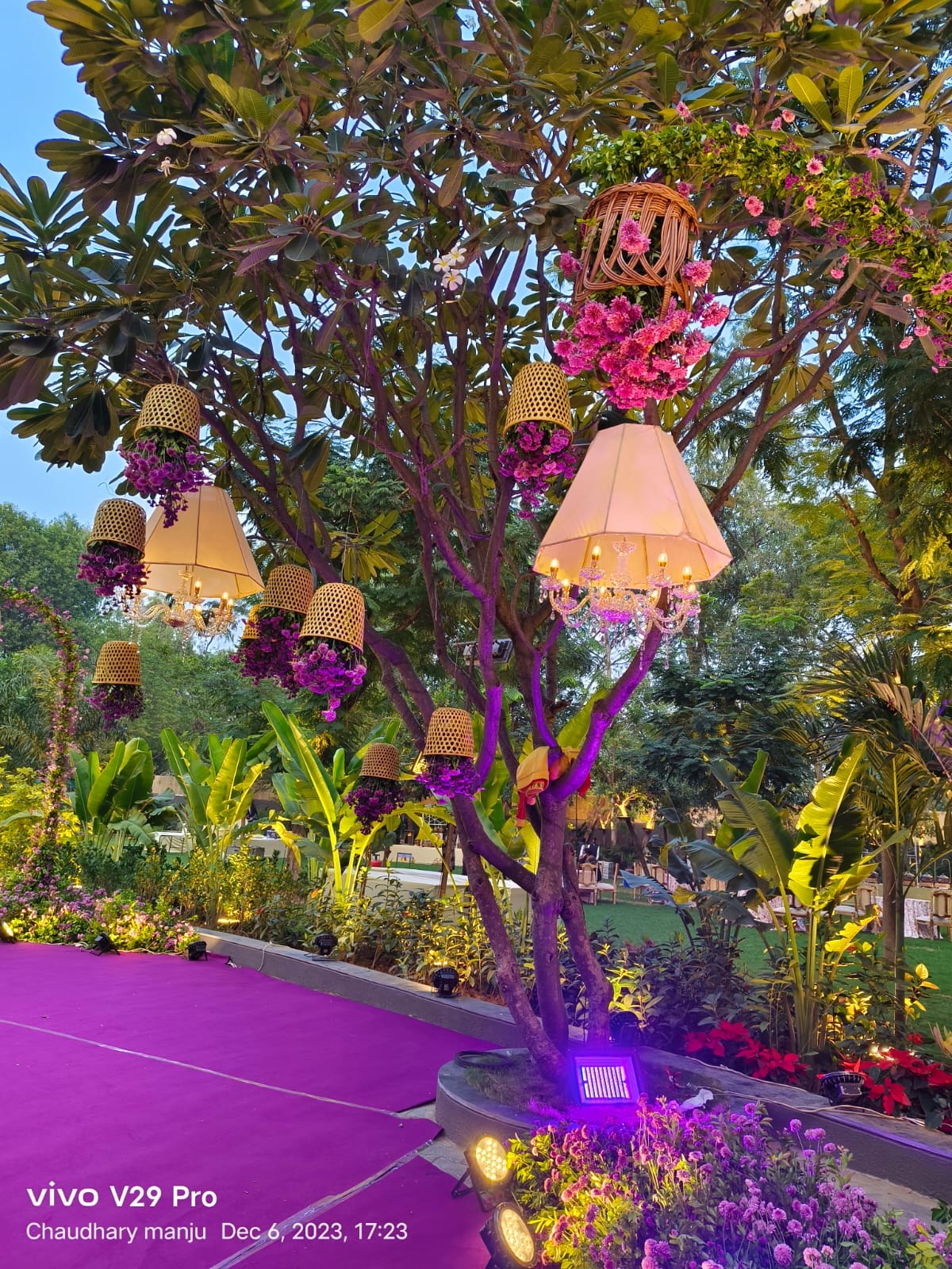 Chandelier Rental 20