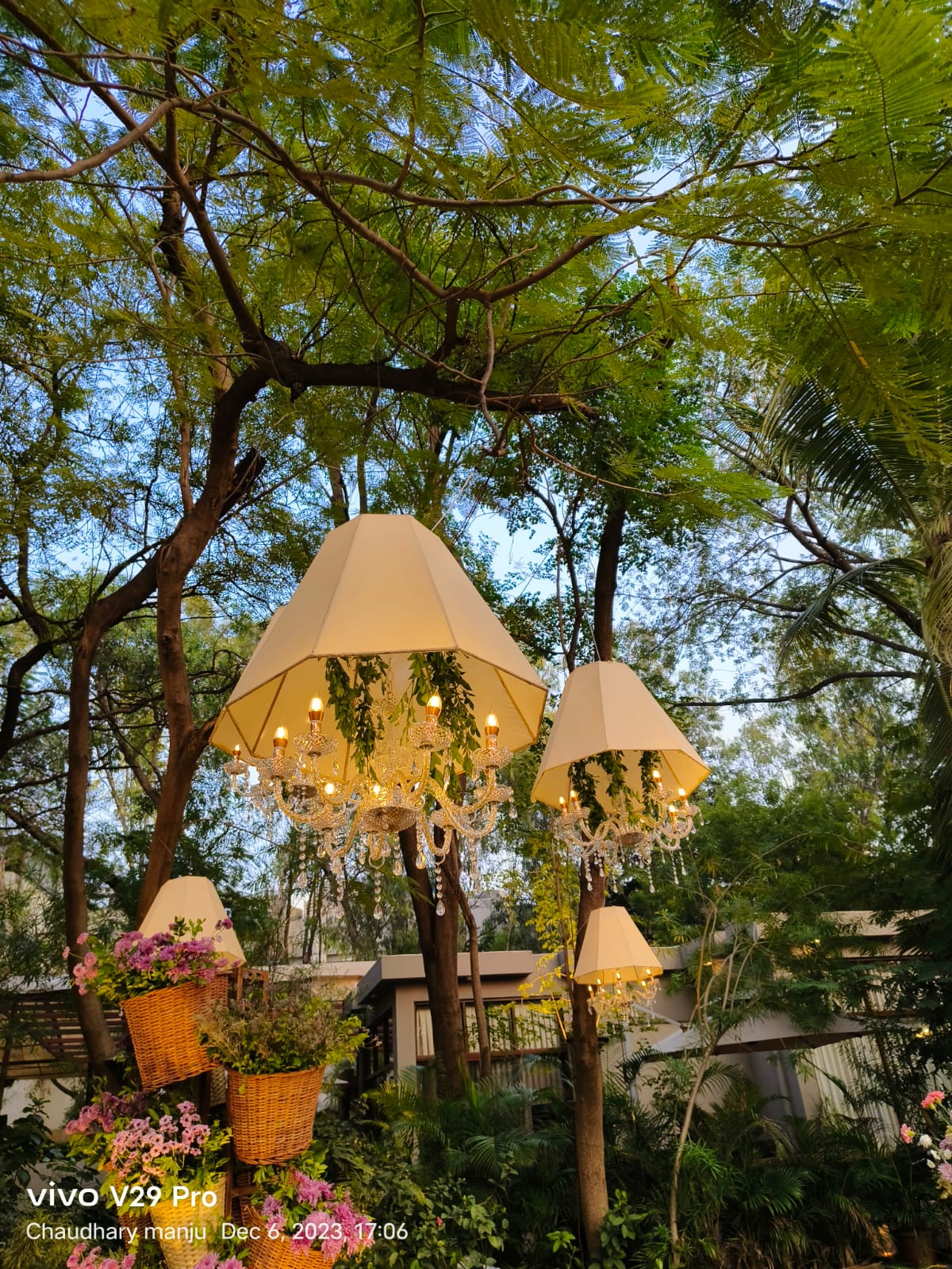 Chandelier Rental 23