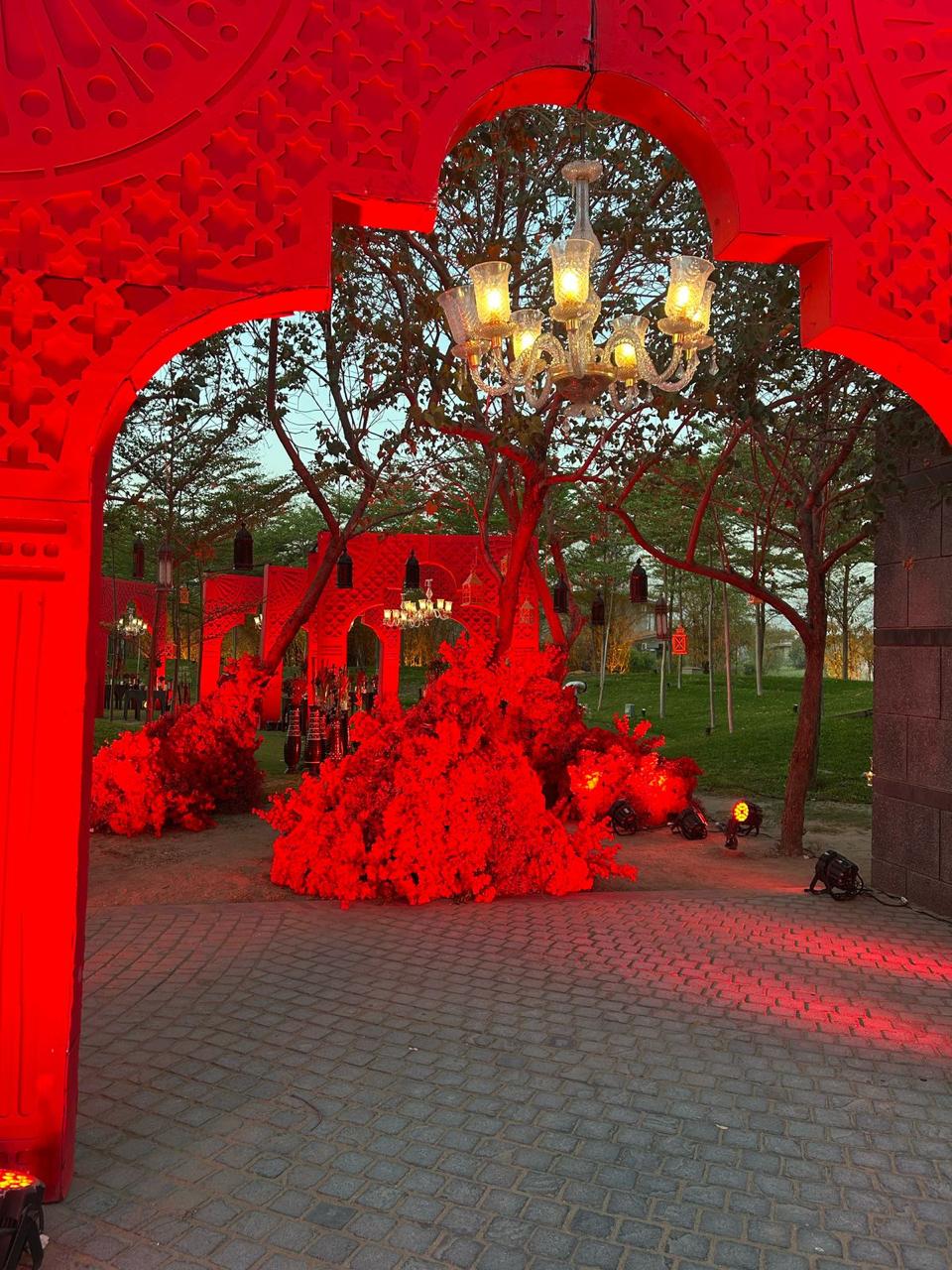 Chandelier Rental 41